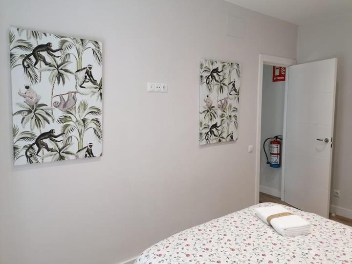 Pisazo En Pleno Centro!! Apartment Santander Ngoại thất bức ảnh